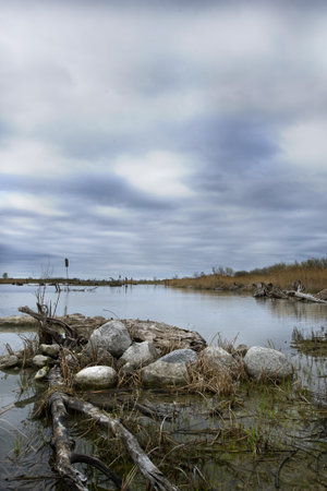 Wetlands in front of Toronto skylineの写真素材
