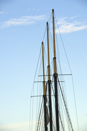 Sailing   の写真素材