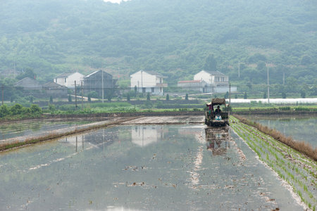 The Rice Planterの写真素材