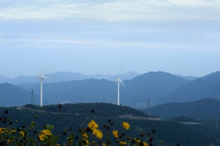 wind farm