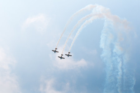 The Canadian Snowbirds demo team in flight - Stock Imageのeditorial素材