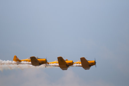 The Canadian Snowbirds demo team in flight - Stock Imageのeditorial素材