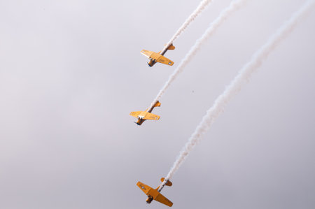 The Canadian Snowbirds demo team in flight - Stock Imageのeditorial素材