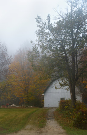 Fall Morningの写真素材