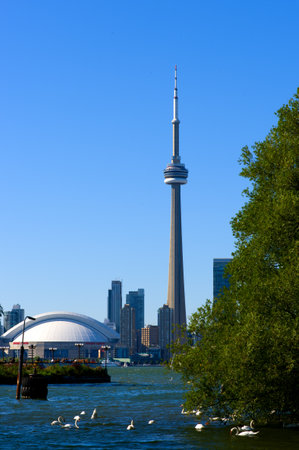 Toronto Postcardのeditorial素材