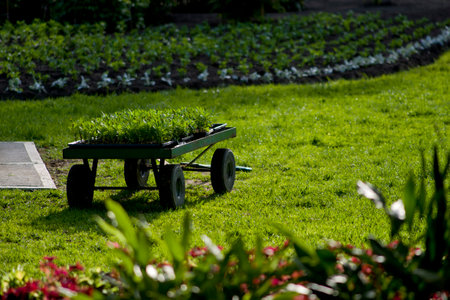 Garden conceptの写真素材