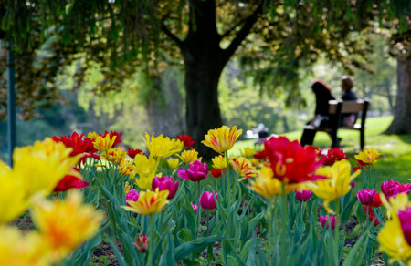 Beauty in natureの写真素材