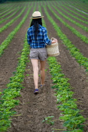 Young women in the gardenの写真素材
