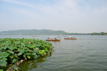 Lotus in full bloom, West Lake in Hangzhouのeditorial素材