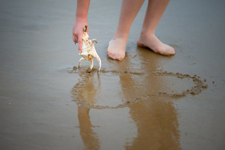 Girl on the beach with shells painted heartの写真素材