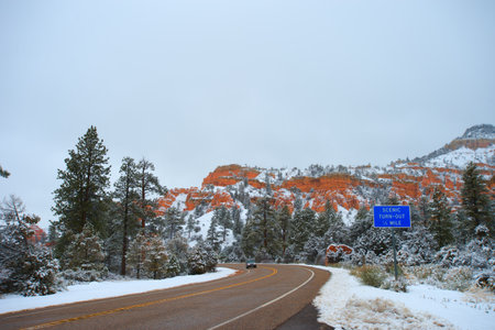 The fog in Bryce Canyon National Park,の写真素材