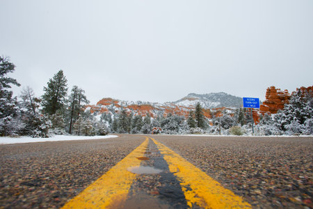 The fog in Bryce Canyon National Park,の写真素材