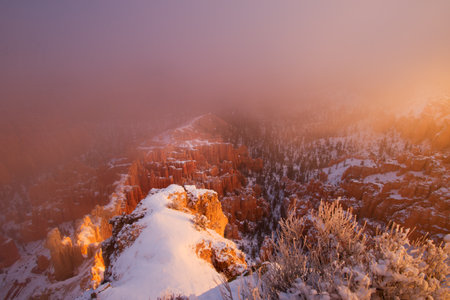 The fog in Bryce Canyon National Park,  sun just risingの写真素材