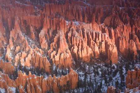 The fog in Bryce Canyon National Park,  sun just risingの写真素材