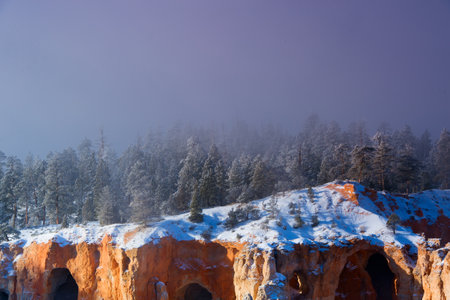 Bryce Canyon National Park, USAの写真素材