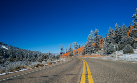 Asphalt road in green forest.Bryce Canyon National Parkの写真素材