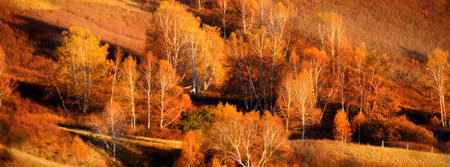 Fall is coming in Chinese Inner Mongolia dam