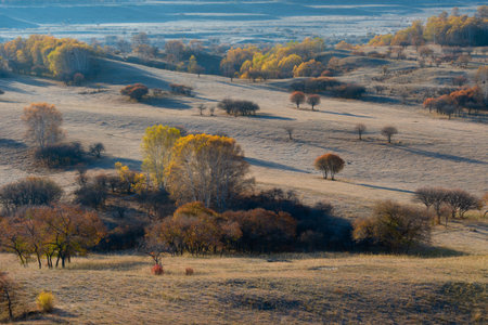 Autumn at Inner Mongolia. Northern China.