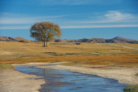 Autumn at Inner Mongolia. Northern China.