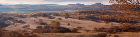 Autumn at Inner Mongolia. Northern China.の写真素材