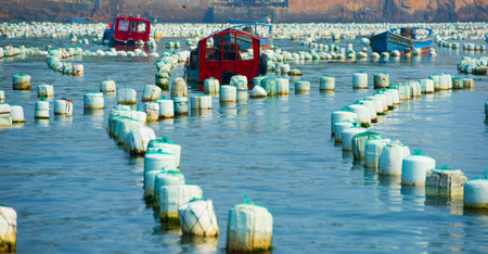 Fish farm in east sea, chinaの写真素材