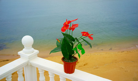 From the balcony to see the fishing villageの写真素材