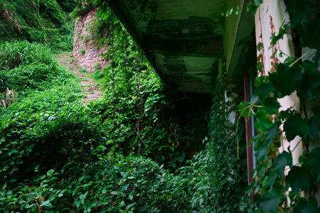 The decline of fisheries resources, China Zhejiang Shengsi Shengshan Island fishermen have relocated, becoming no village, abandoned houses covered with green plantsの写真素材