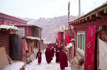 Tibetan Buddhist monks in the Sichuan Buddhist College, Seda Chinaのeditorial素材