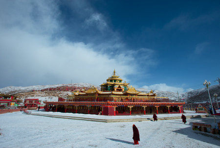 Tibetan Buddhist monks in the Sichuan Buddhist College, Sade Chinaの写真素材