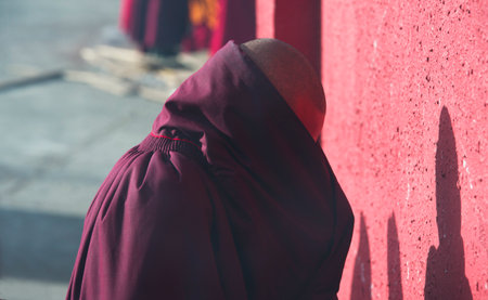 Tibetan Buddhist monks in the Sichuan Buddhist College, Sade Chinaの写真素材