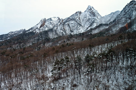 Seoraksan National Park, Korea,  March 03,2012 - The mount sorak during winter timeのeditorial素材