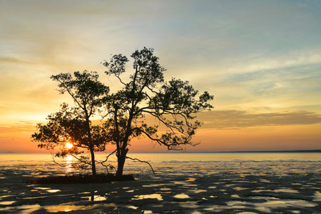 Tropica Sunset at the Capeの写真素材