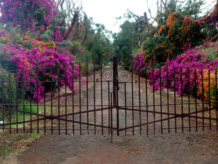 Gated Eden