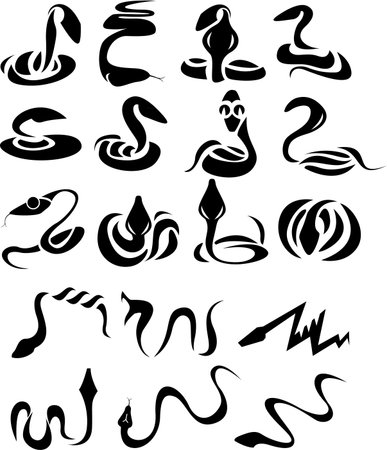 Isolated snakes collection, tattoo designのイラスト素材