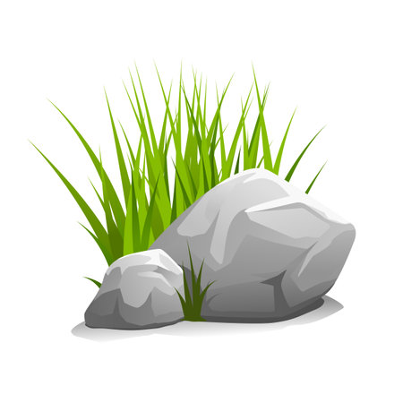 Composition of two stones and green grass, illustration isolated on whiteのイラスト素材