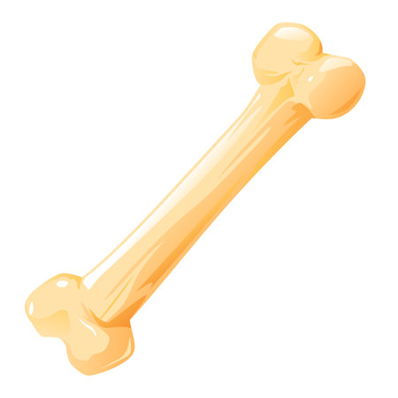 One big dog bone isolated on whiteのイラスト素材
