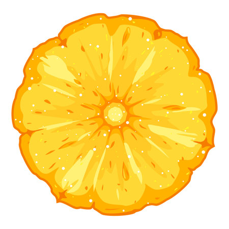 One fresh round pineapple cut slice, detailed piece of ananas, isolatedのイラスト素材