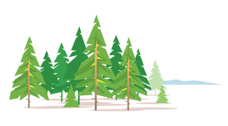 Spruce forest on white background in a simple geometric form, green triangular spruce with truncated branches in simple colors stylizationのイラスト素材