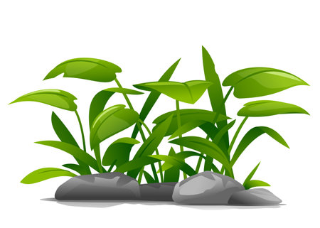 Composition of ornamental plants and stones, decorative plant for landscape design, jungle plants illustration isolated on whiteのイラスト素材