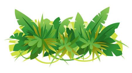 Composition of green jungle leaves assembled together in horizontal view, isolated on white, decoration of tropical plants assorted together illustrationのイラスト素材