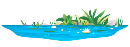 Small blue decorative pond with white water lilies, bulrush plants, stones around and fishes, water reservoir for landscape design isolated on whiteのイラスト素材
