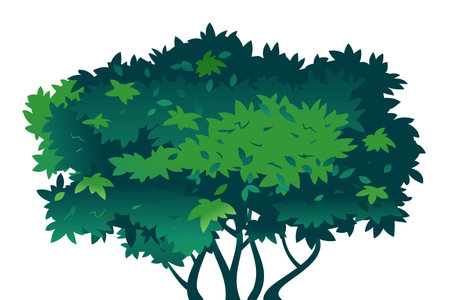 One big green bush on ground with thick leaves, nature plant for composition, plant with a dense crownのイラスト素材