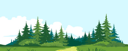 Path through the forest with big green spruce trees in front view, tourist route through the dense spruce forest and bushes in summer sunny day nature illustration backgroundのイラスト素材