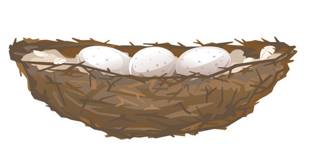 One brown bird nest with three eggs in side view from small branches isolated, small nest of thin branches and feathersのイラスト素材