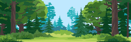 Green glade with grass in mixed forest on summer sunny day, spruce trees and bushes in front view, place for camping in the middle of the forest, place for picnic in natureのイラスト素材