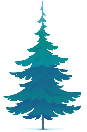One tiny spruce tree illustration, white spruce evergreen coniferous tree in side view isolatedのイラスト素材