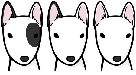 Bull Terrier (dog)のイラスト素材