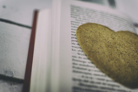 Gingerbread heart on a white backgroundの写真素材