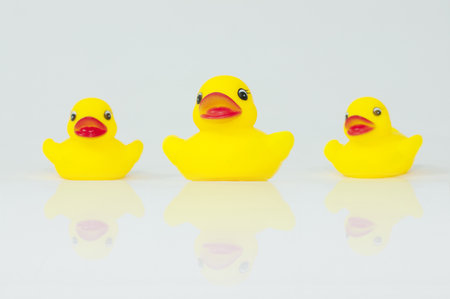 Rubber ducksの写真素材