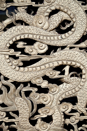Dragons bodyの写真素材